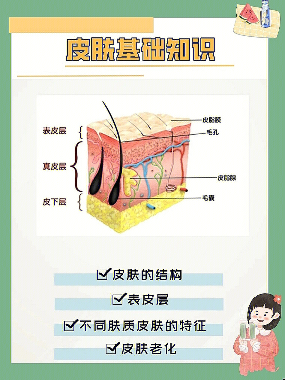 护肤需知皮肤基础知识篇75