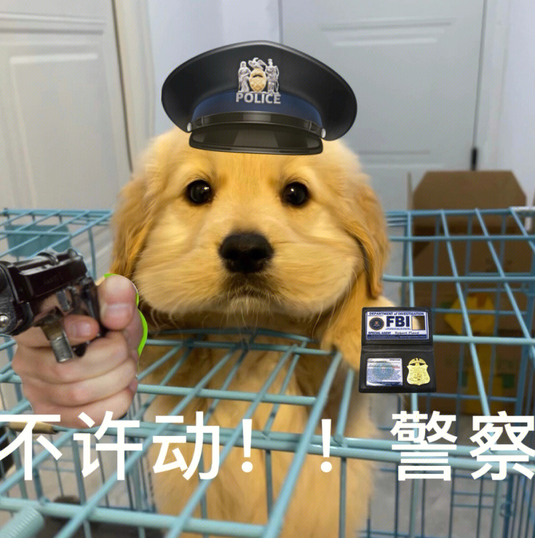 狗被警察抓走的表情包图片