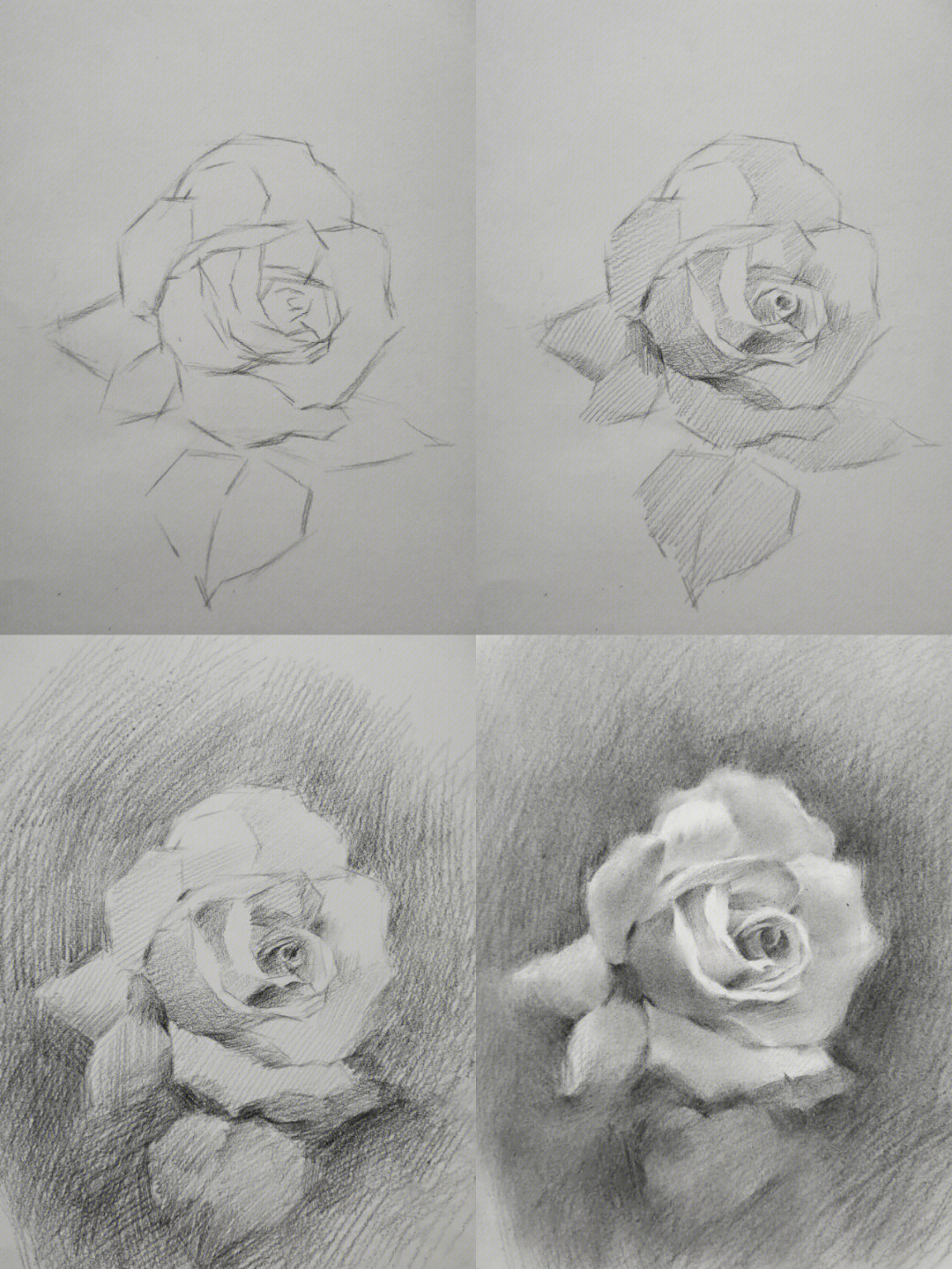 玫瑰花素描新手图片