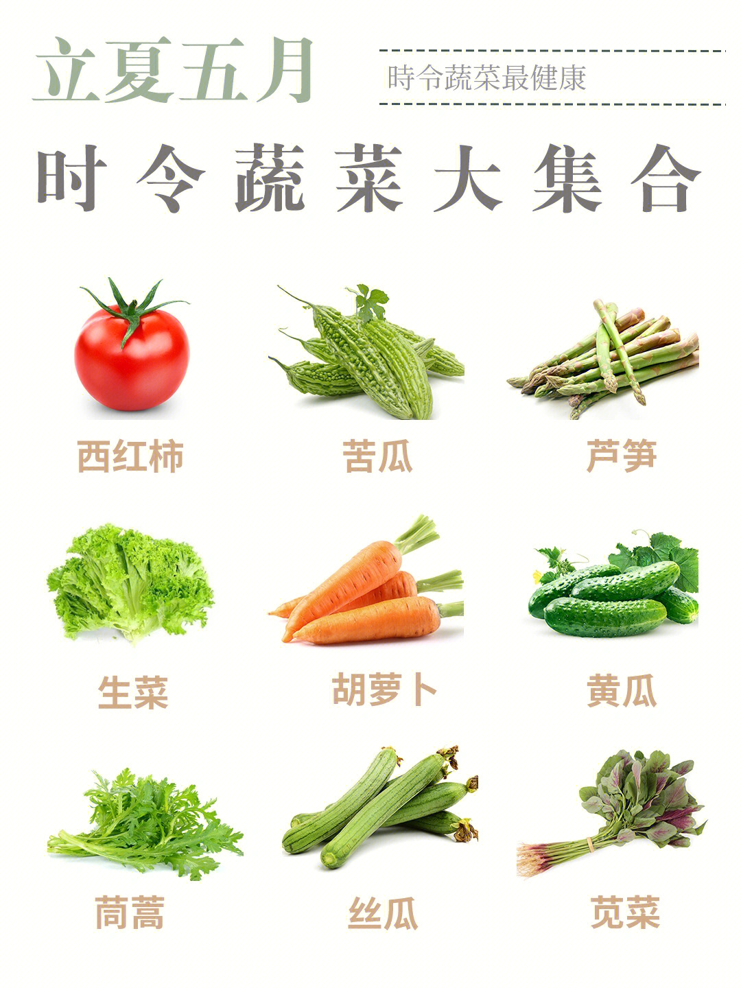 五月应季蔬菜图片