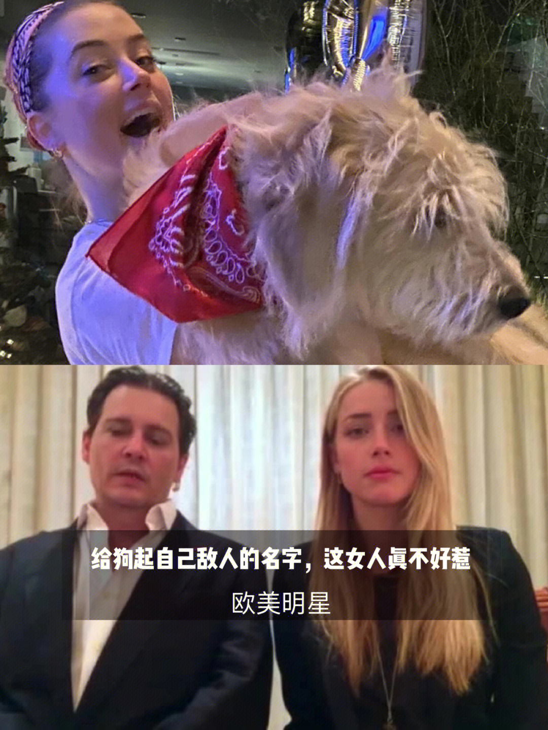 在澳大利亚副总理巴纳比·乔伊斯威胁要因为走私宠物狗而要状告艾梅柏