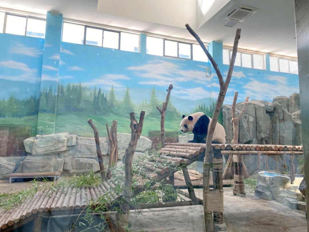 宿州野生动物园地址图片