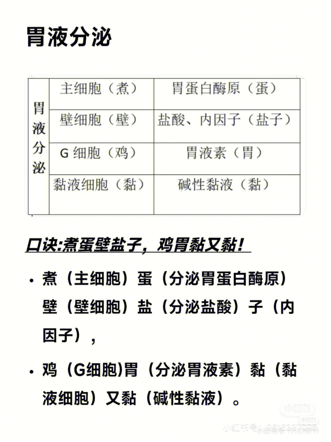 胃液的主要成分图片