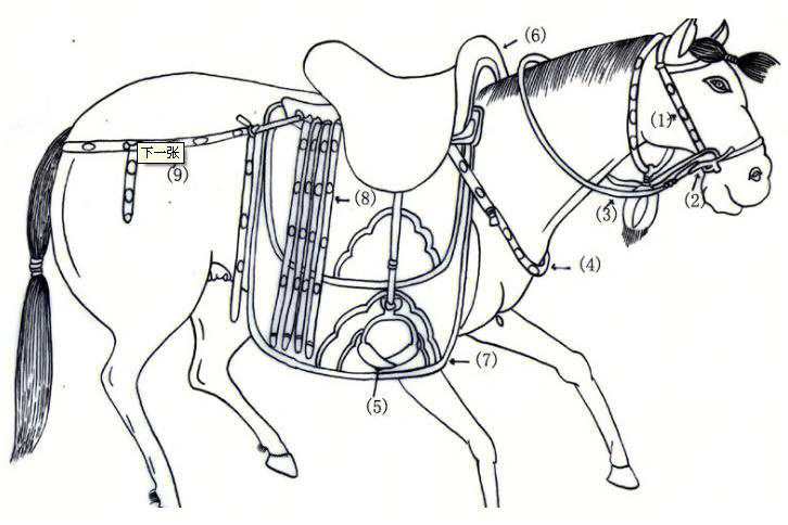 古代马具的谣传图片