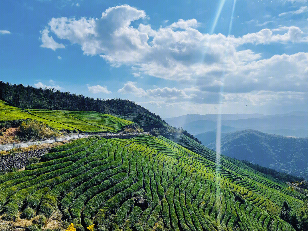 东钱湖福泉山爬山图片