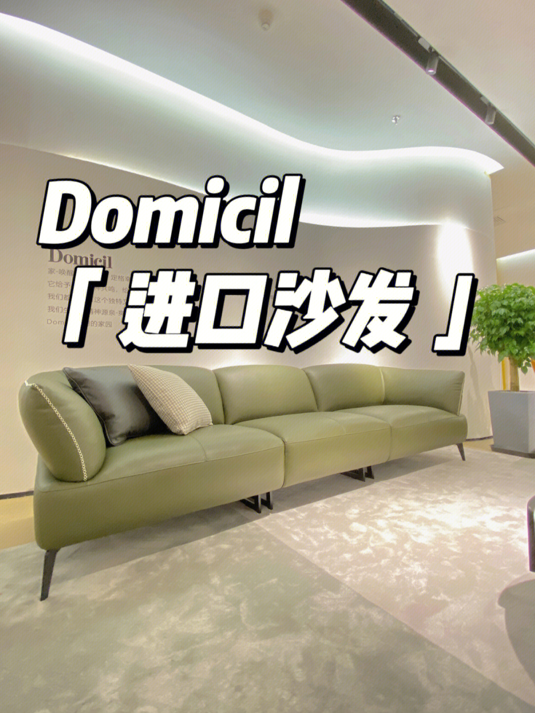 domicil你不知道的进口沙发系列60