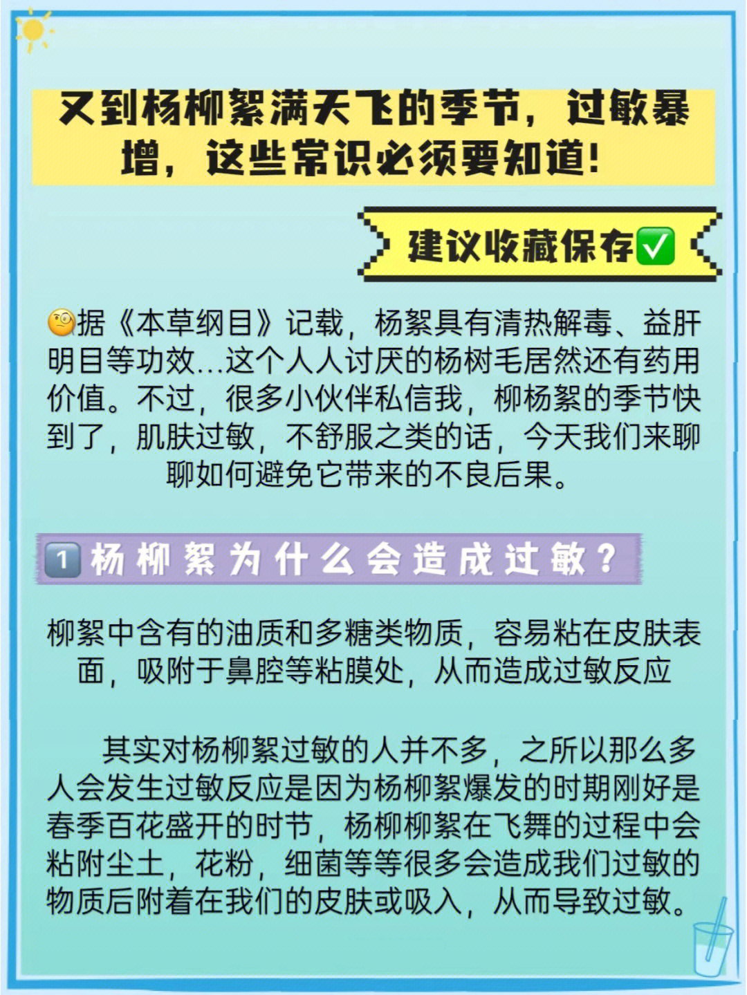 毛白杨絮过敏症状图片