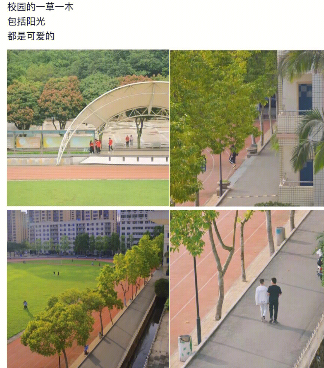 连江树德学校邱淼淼图片