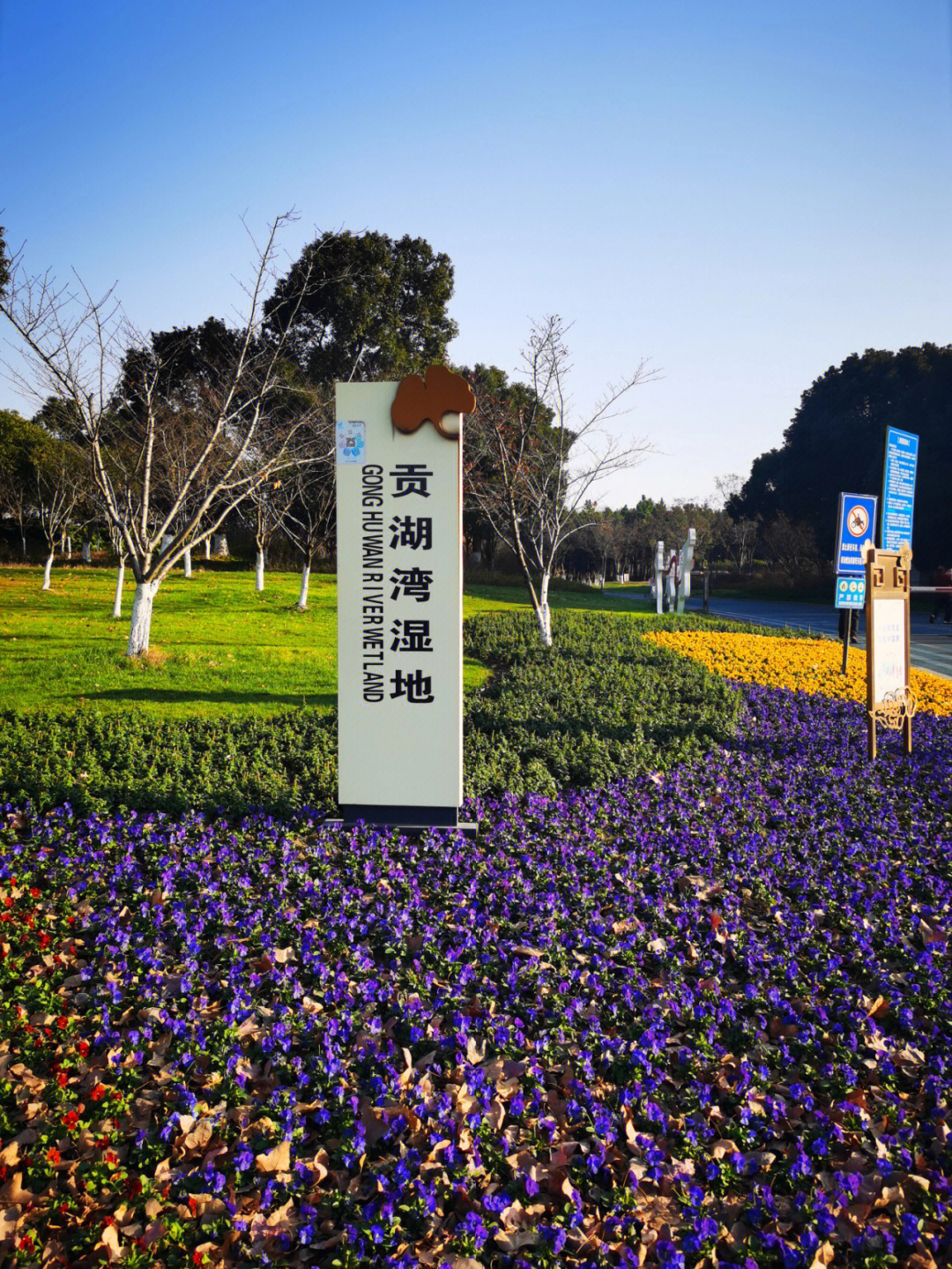 贡湖湾湿地公园地址图片