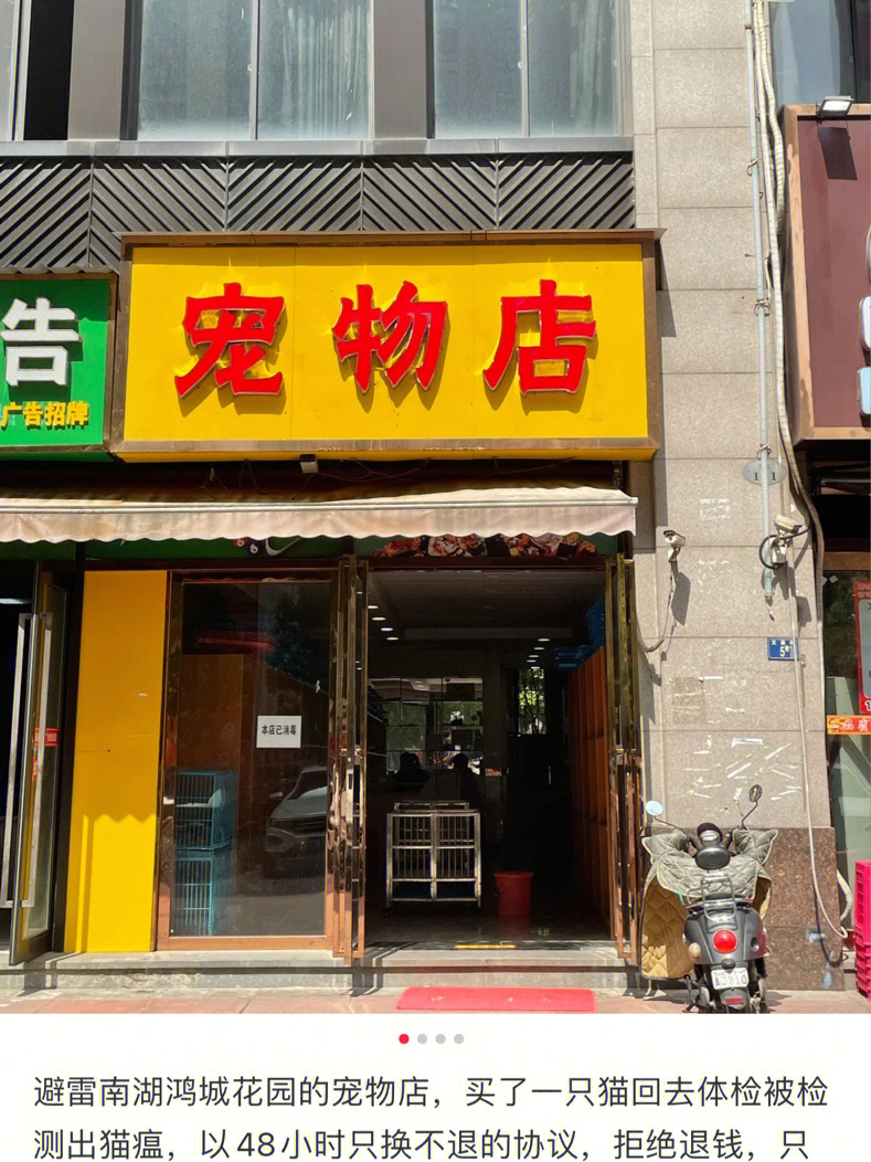 宠主们千万要避开这家黑心宠物店!大雷