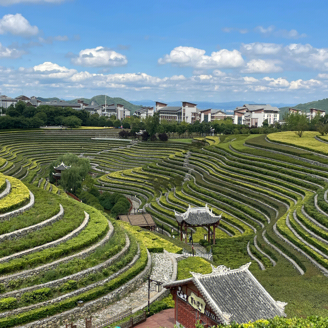 大方奢香古镇梯田