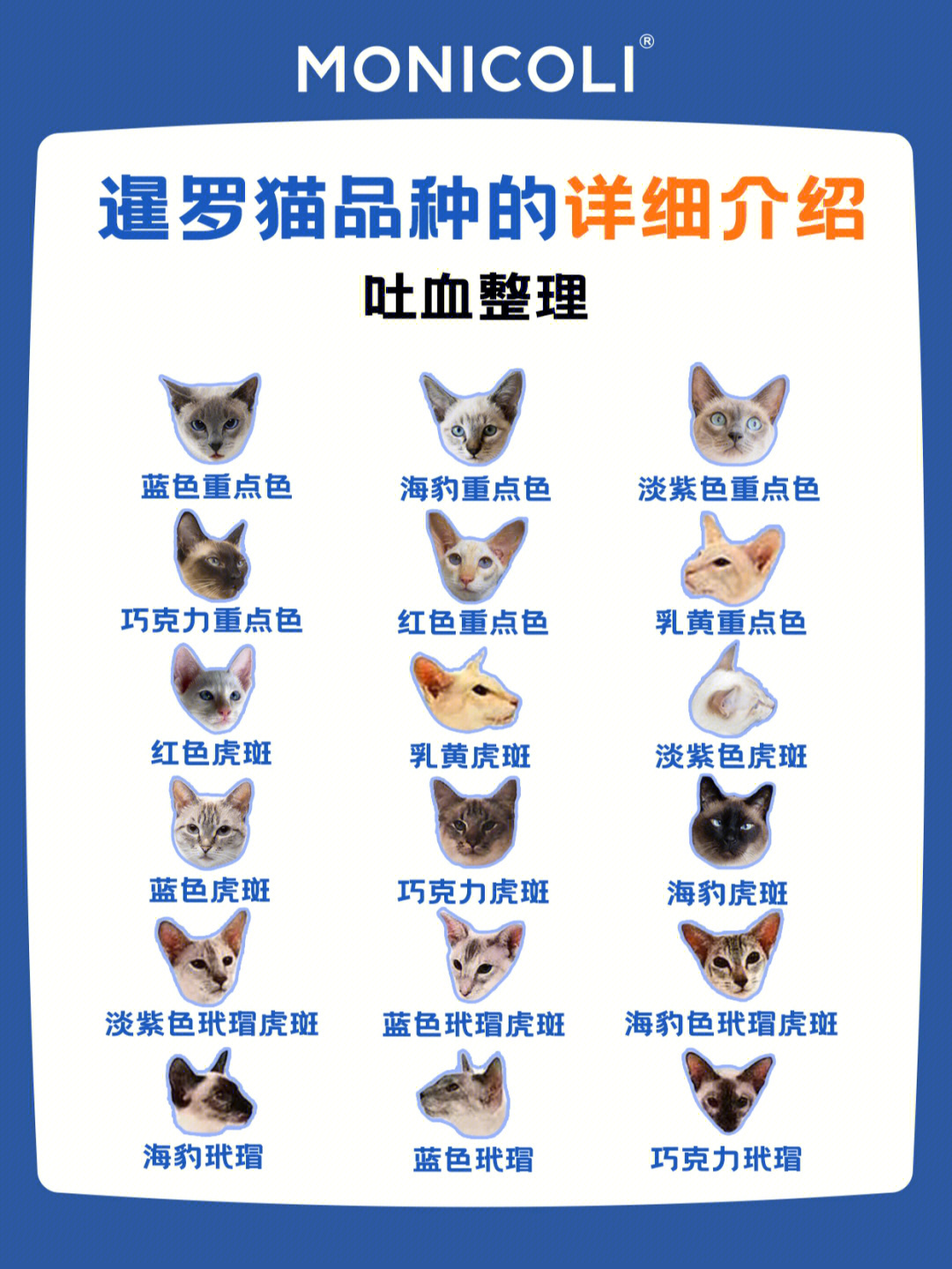 猫咪后院特殊猫图鉴图片