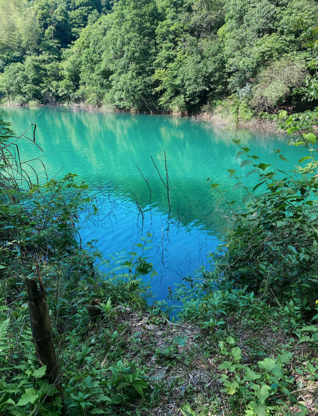 杭州富阳银湖野生露营地