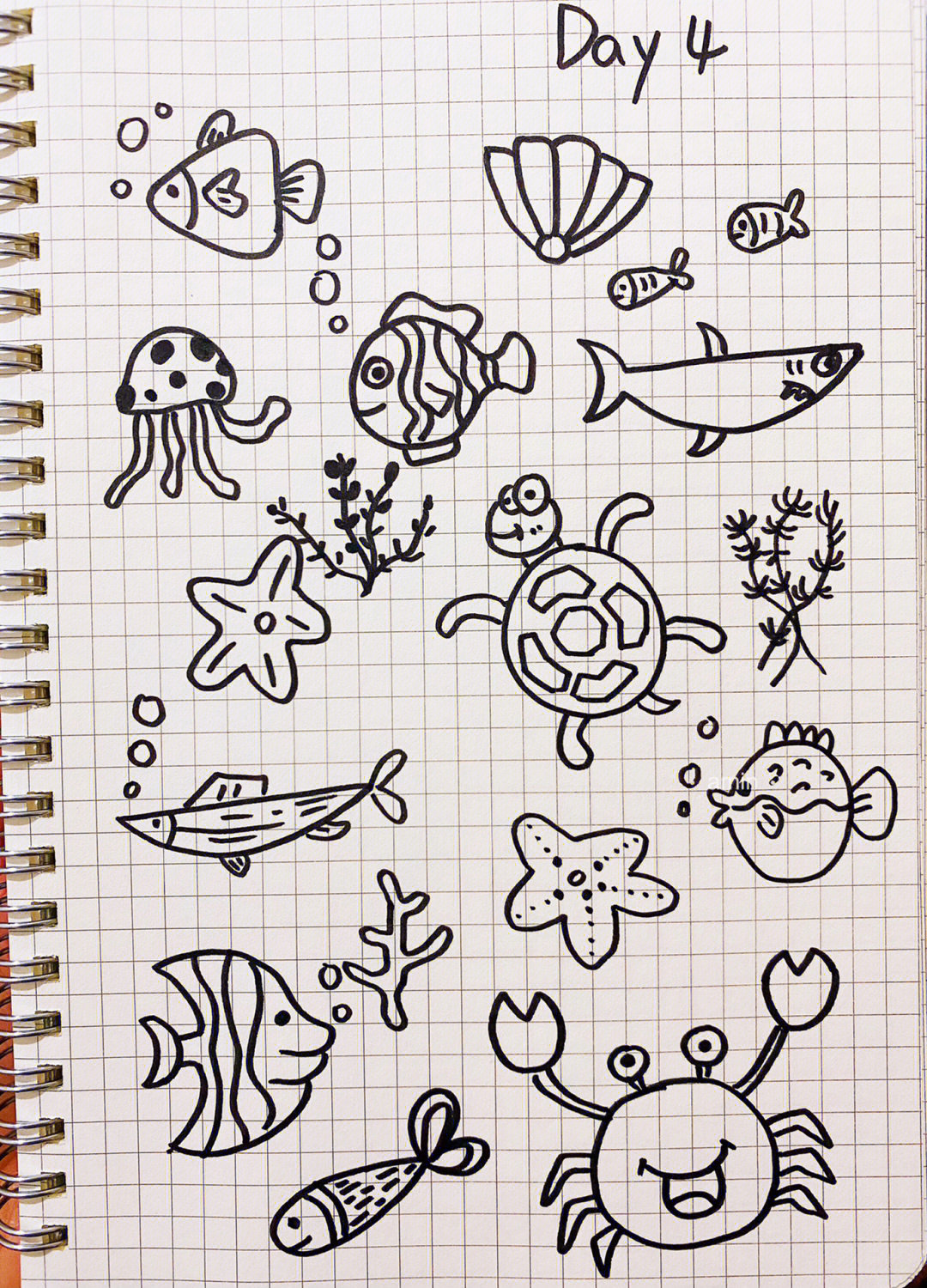海洋动物的画法简笔画图片