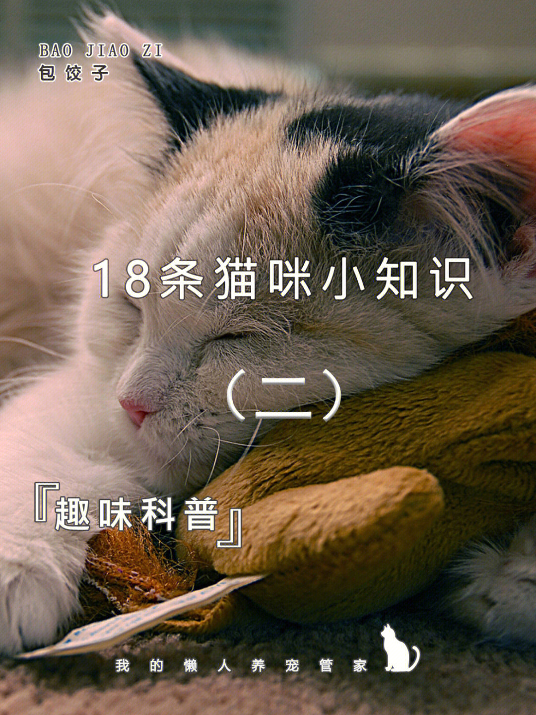 猫咪百科18条猫咪小知识二