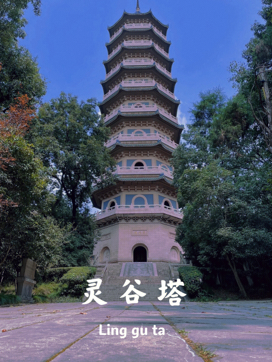 南京小森林灵谷寺