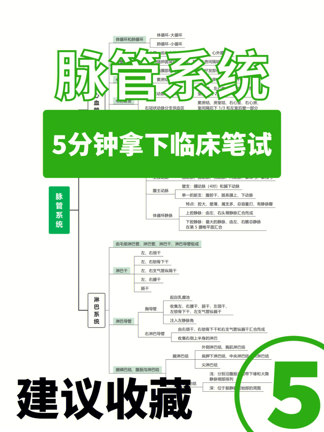 动脉思维导图图片