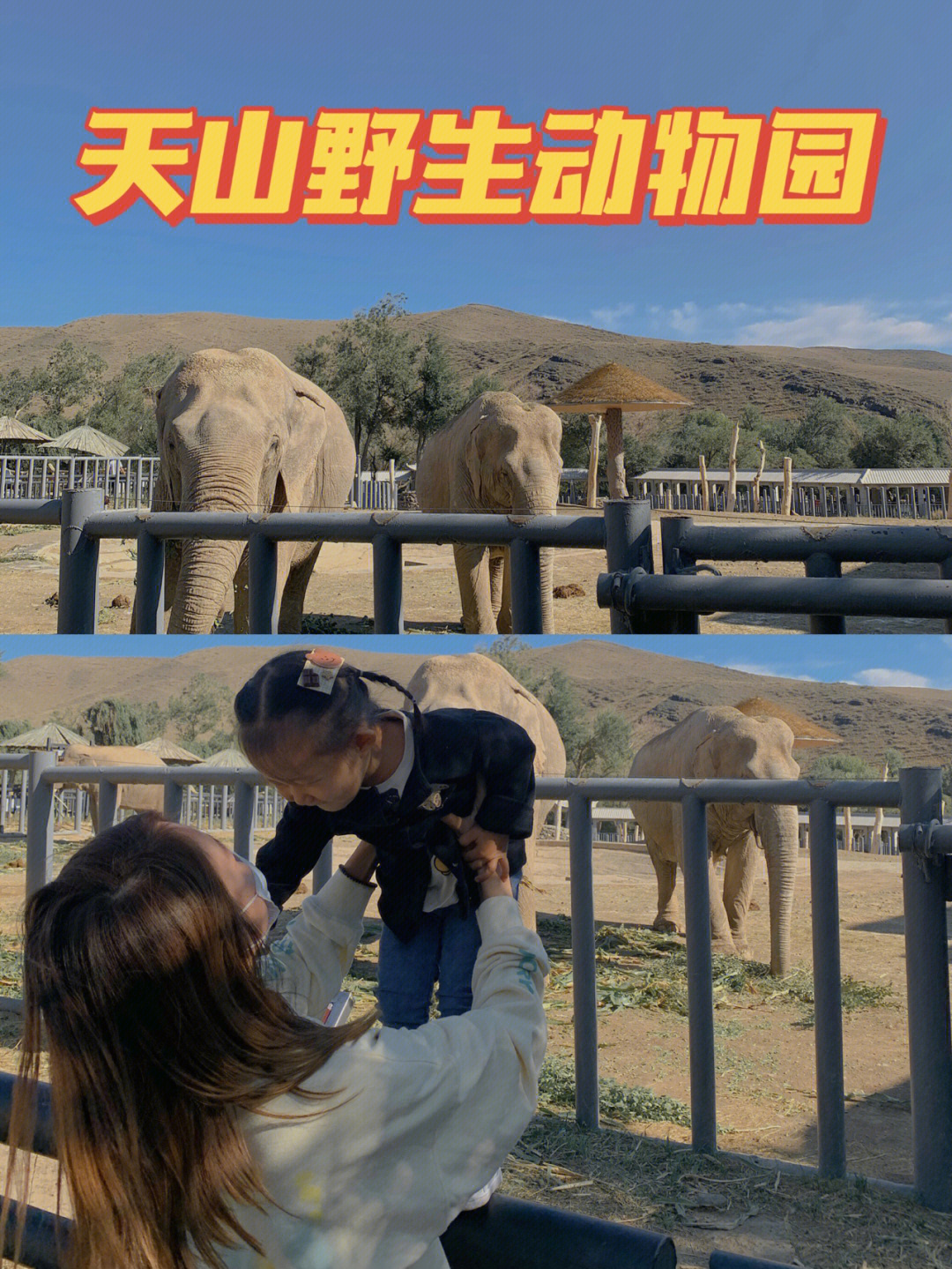 多年之后,再次打卡新疆天山野生动物园