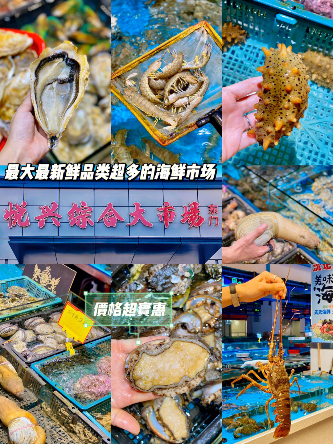 东莞最近超爱逛的海鲜市场60实现海鲜自由