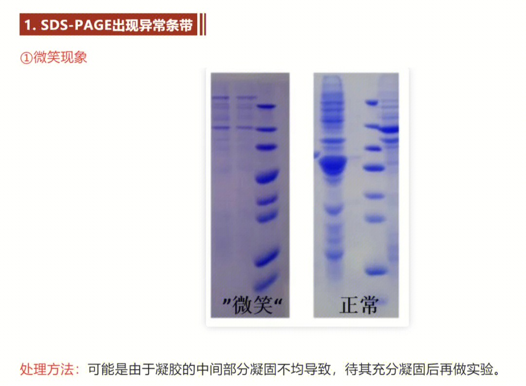 溴麝香草酚蓝变色范围图片