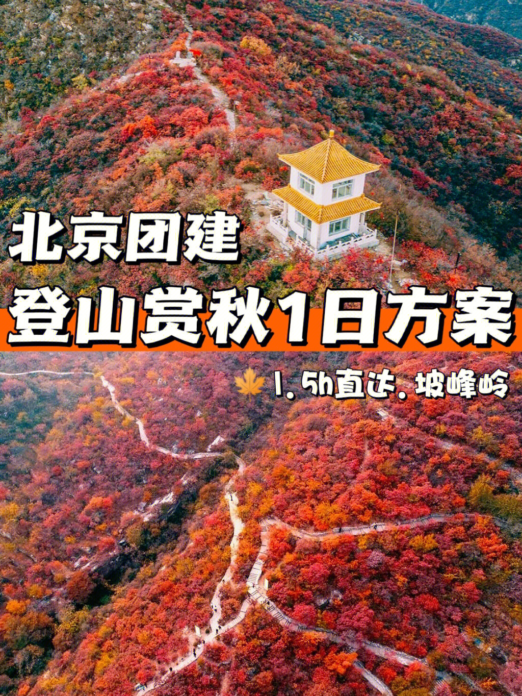 坡峰岭景区介绍图片