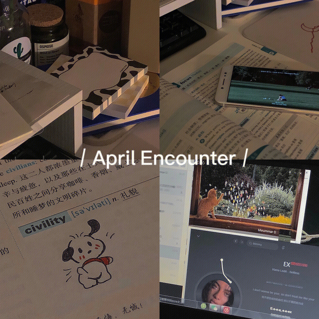 aprilencounter