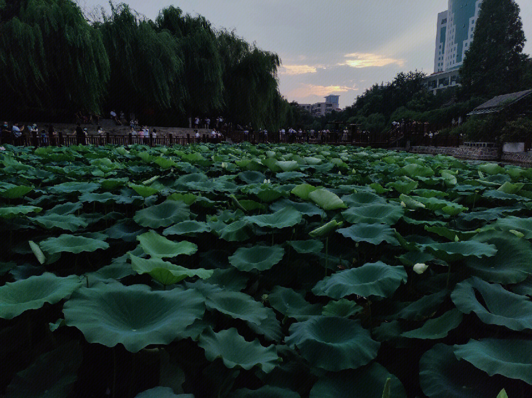 紫荆山公园据点图片