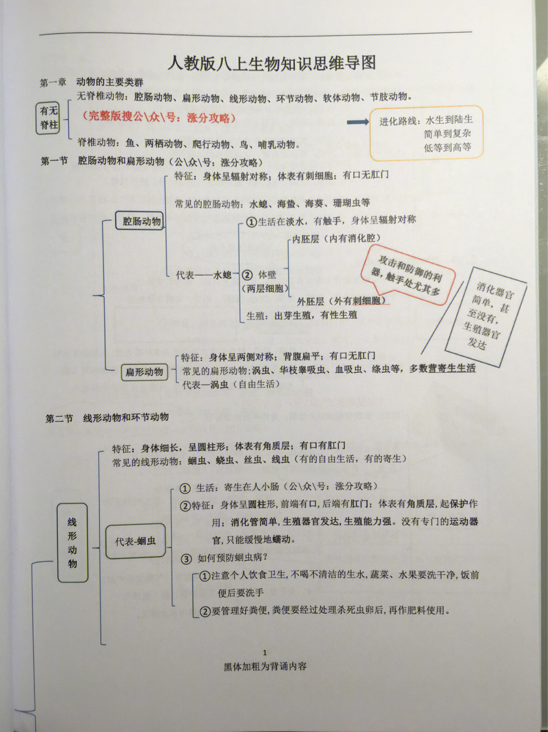 腔肠动物运动方式图片