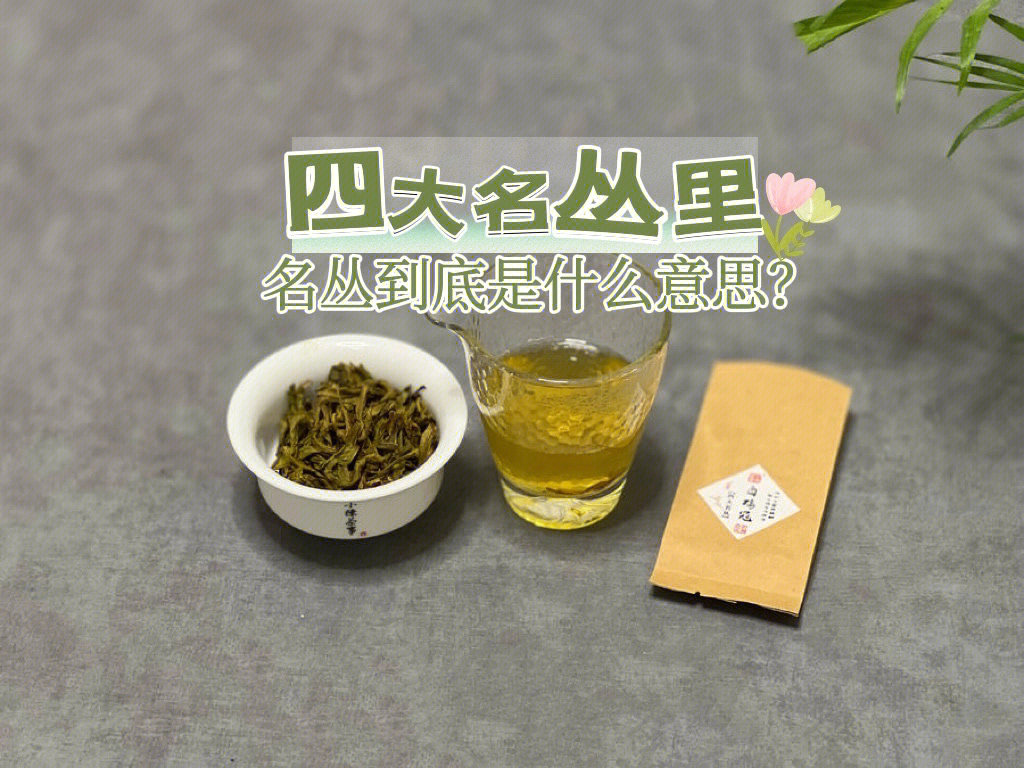 武夷岩茶里名丛是什么意思