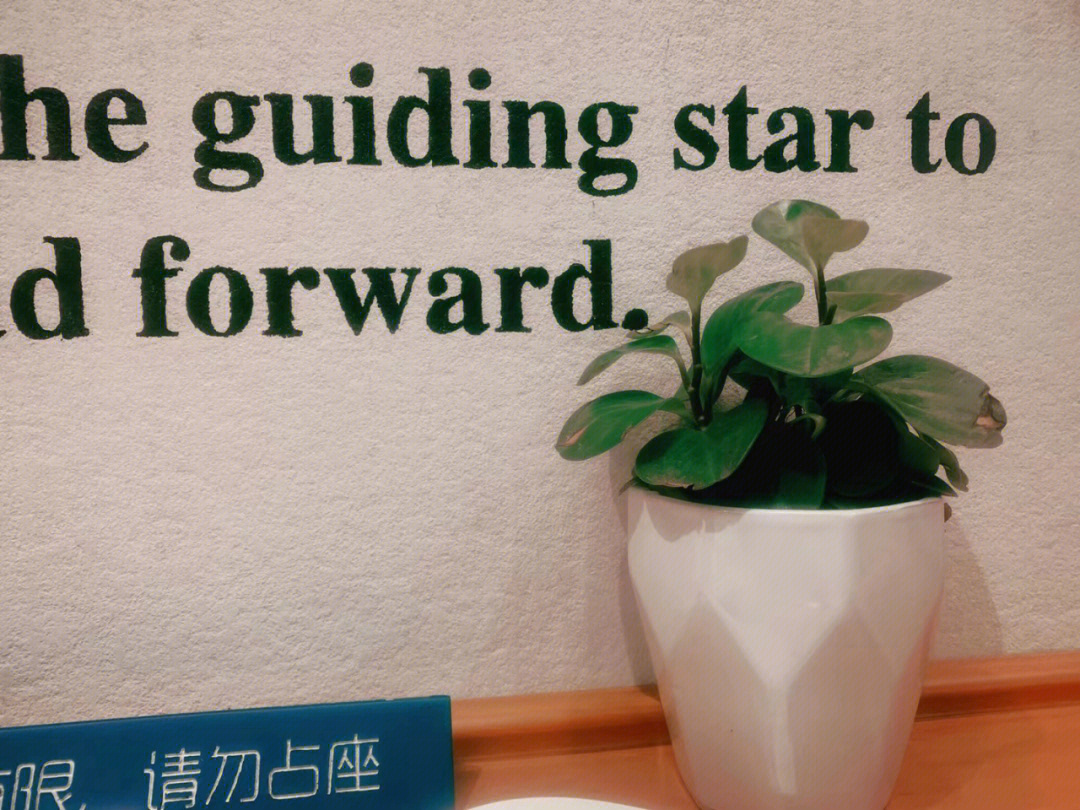 guidingstar图片