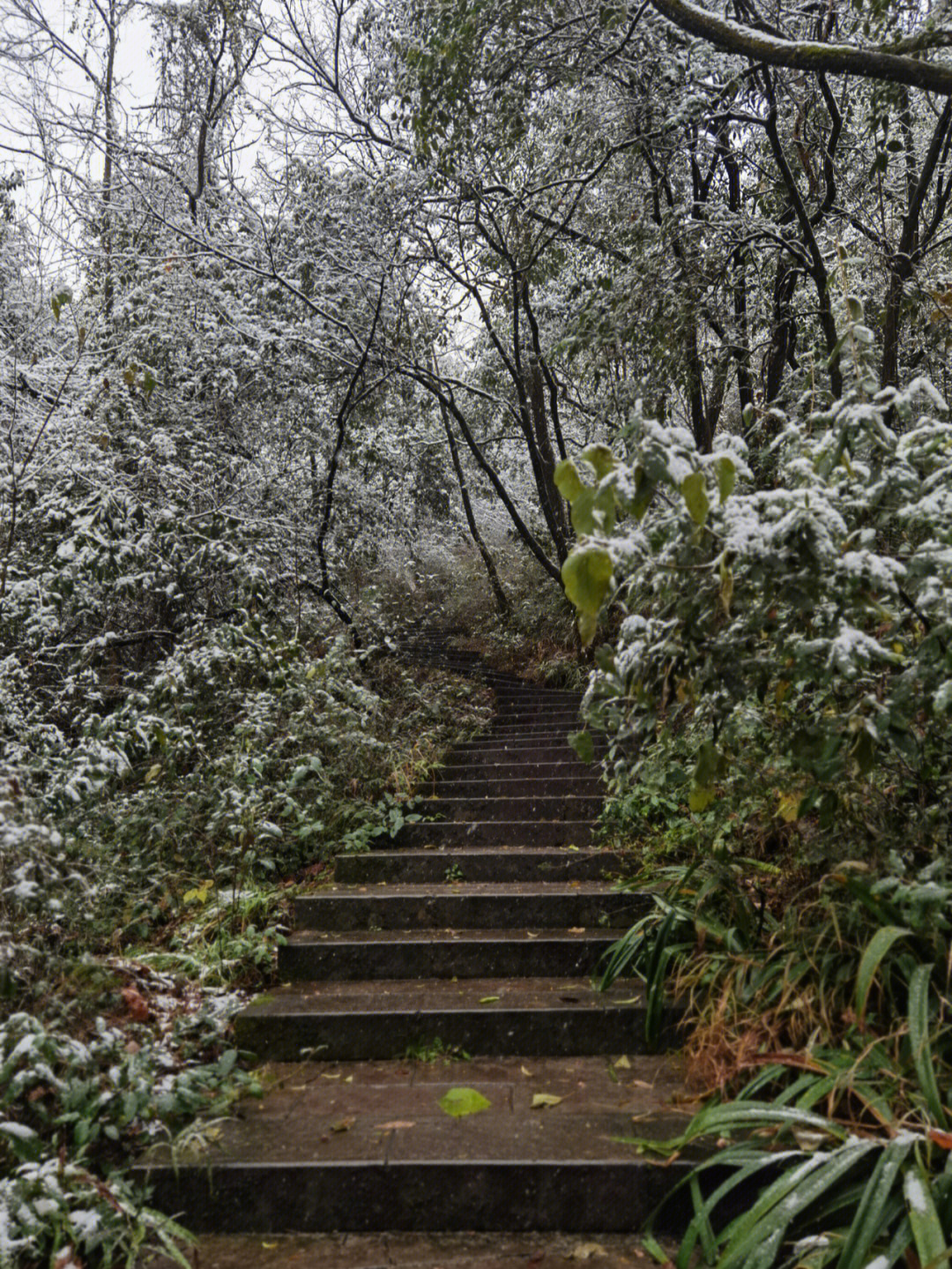 贵阳第一场雪