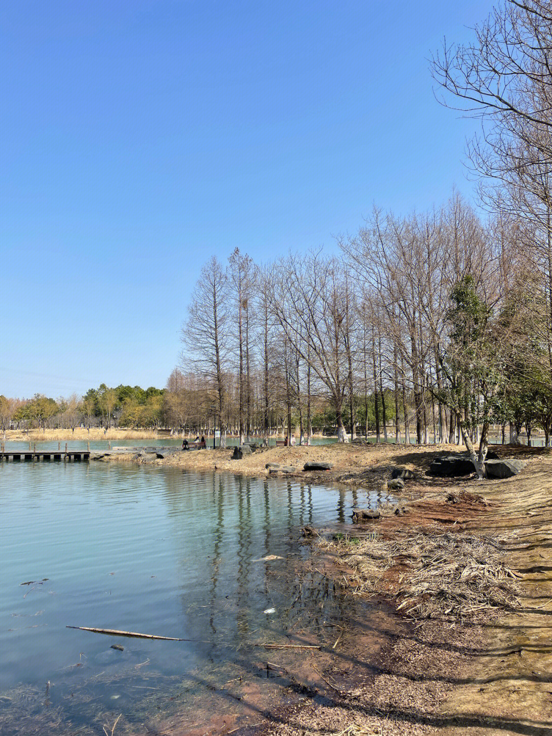 苏州东沙湖生态公园图片