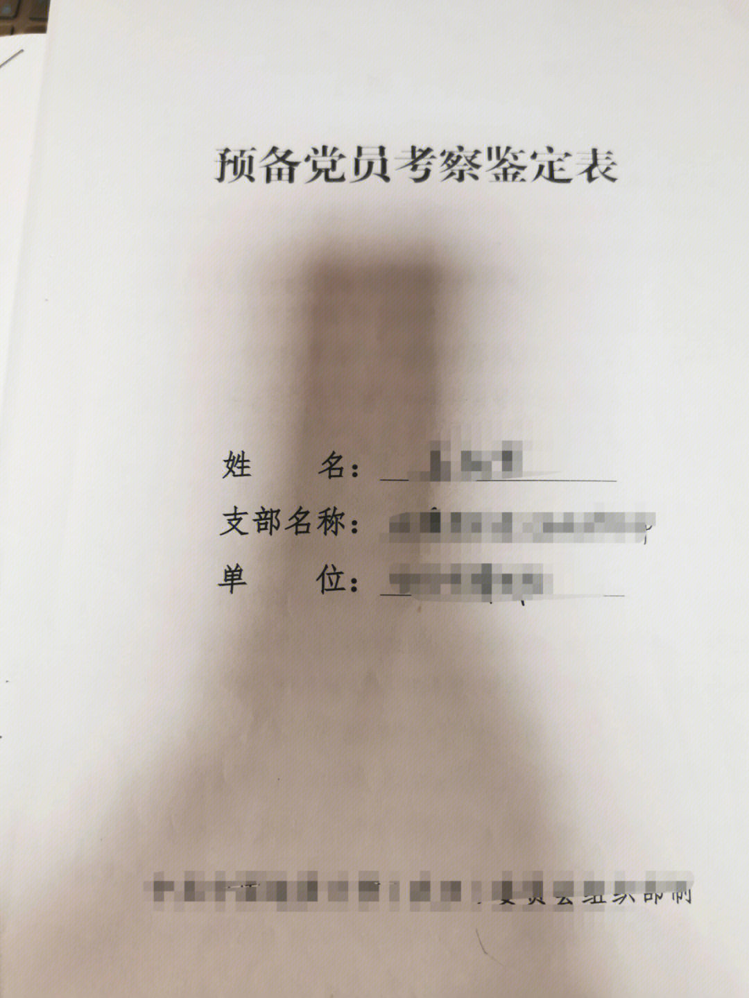 166中期总结和全年总结其实就是成为预备党员半年和一年的时间区别.