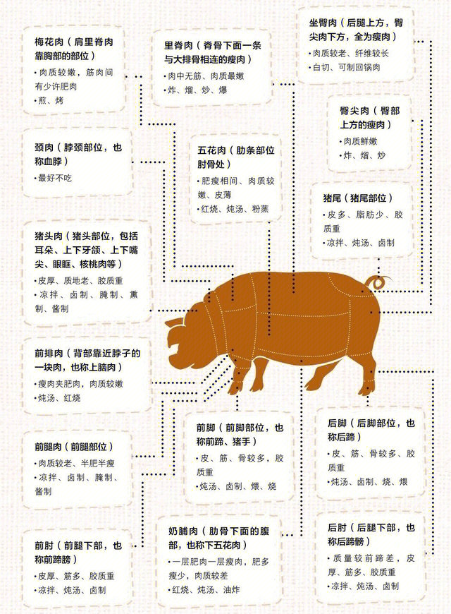 一张图教你认识猪肉各部位及最佳吃法73