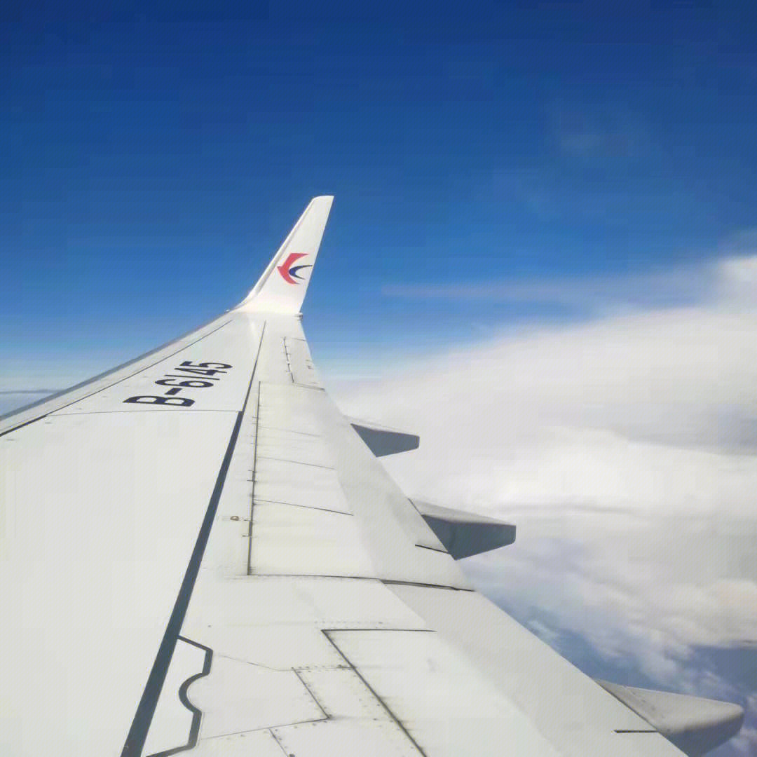 东方航空机翼标志图片图片