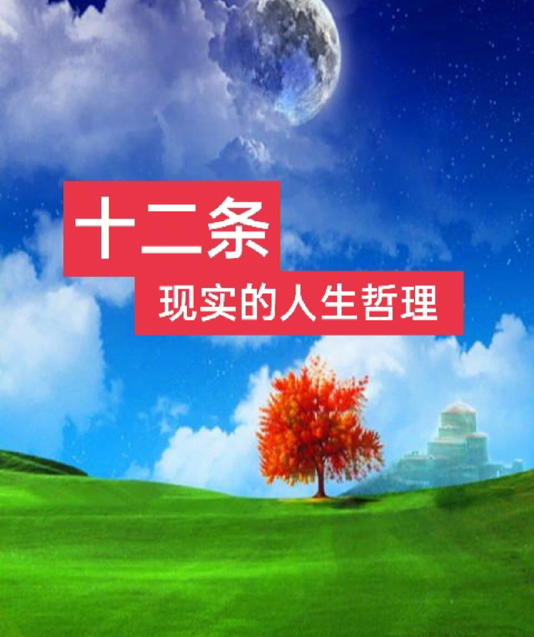 夜听人生与现实哲理图片