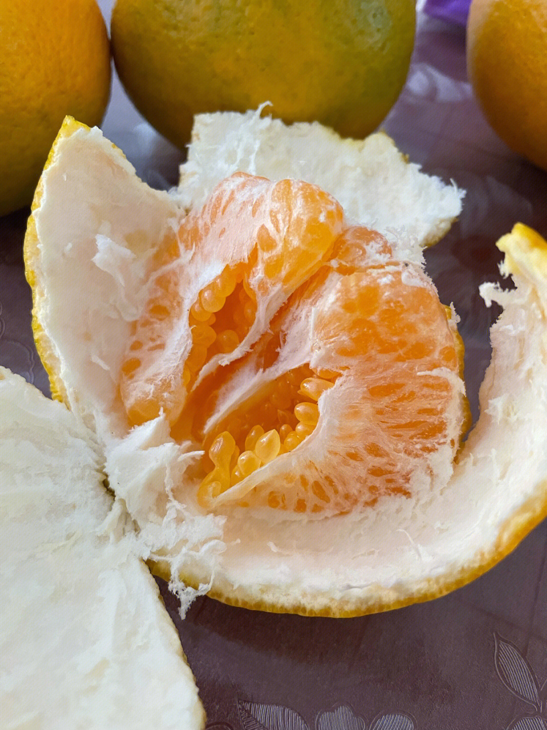 丑橘与粑粑柑的图片图片