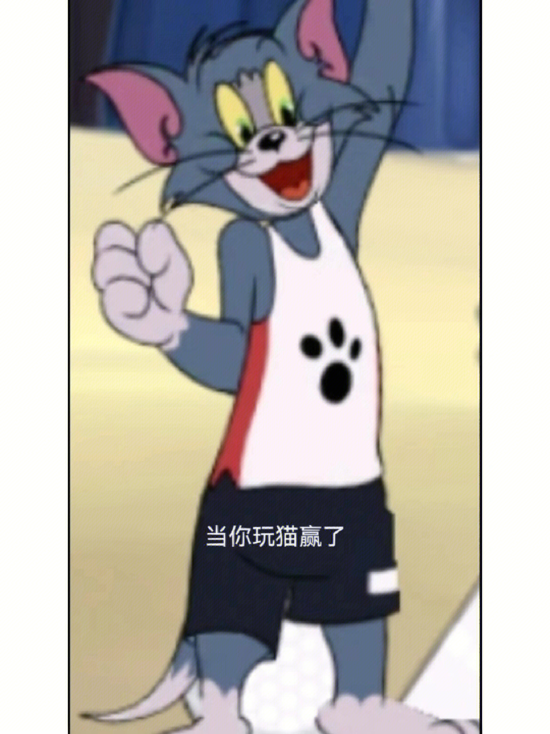 猫和老鼠搞笑表情包