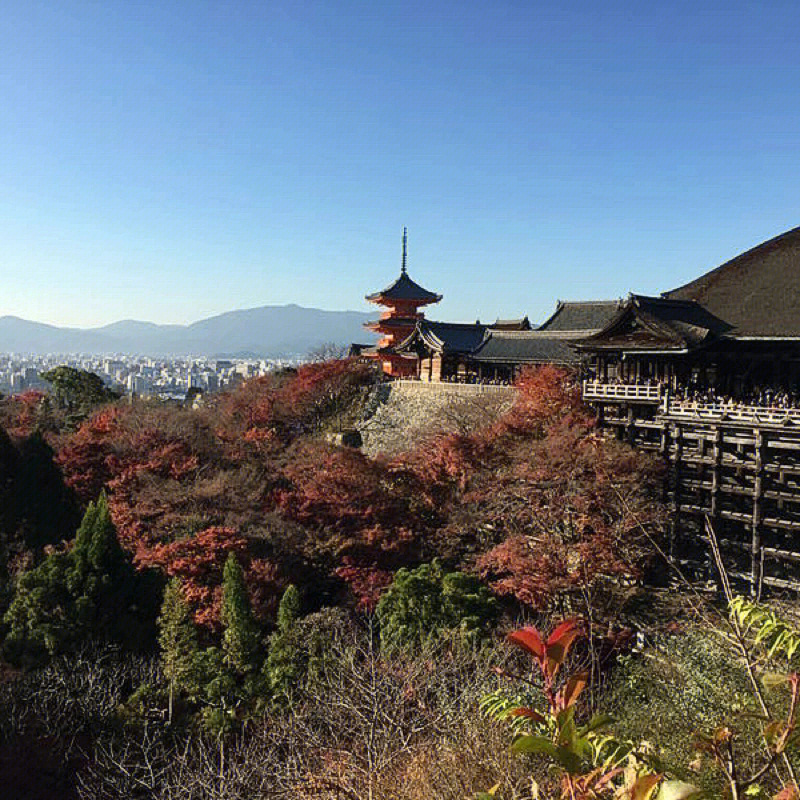 日本京都61清水寺