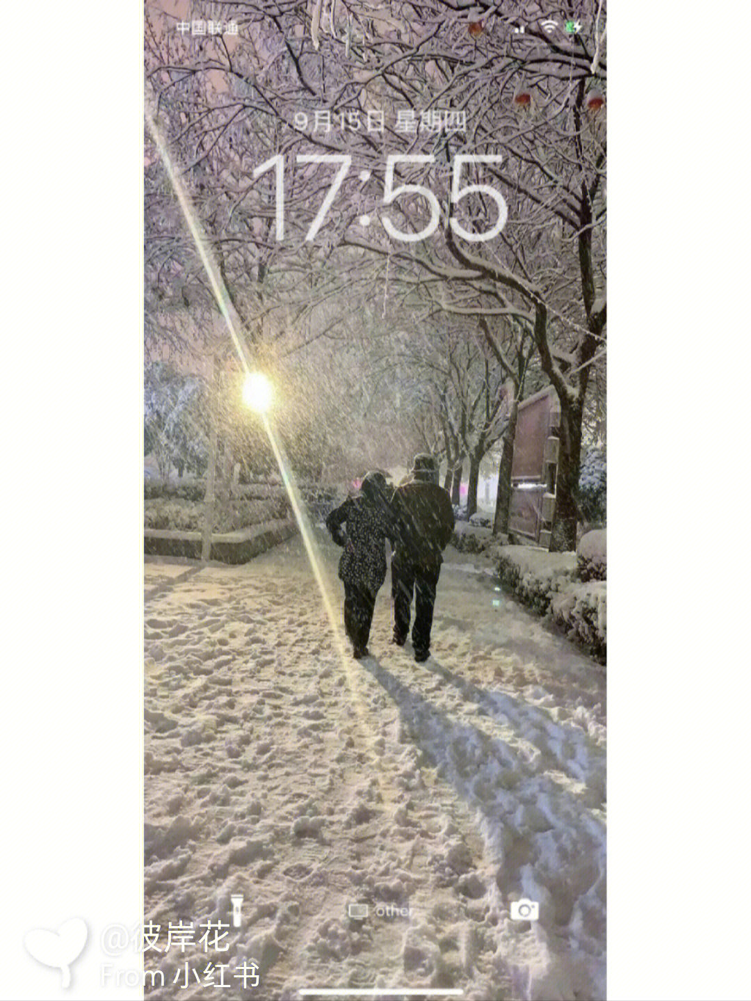 雪中漫步白头图片图片