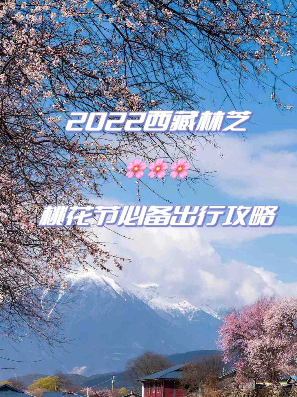 2022西藏林芝桃花节超全赏花攻略