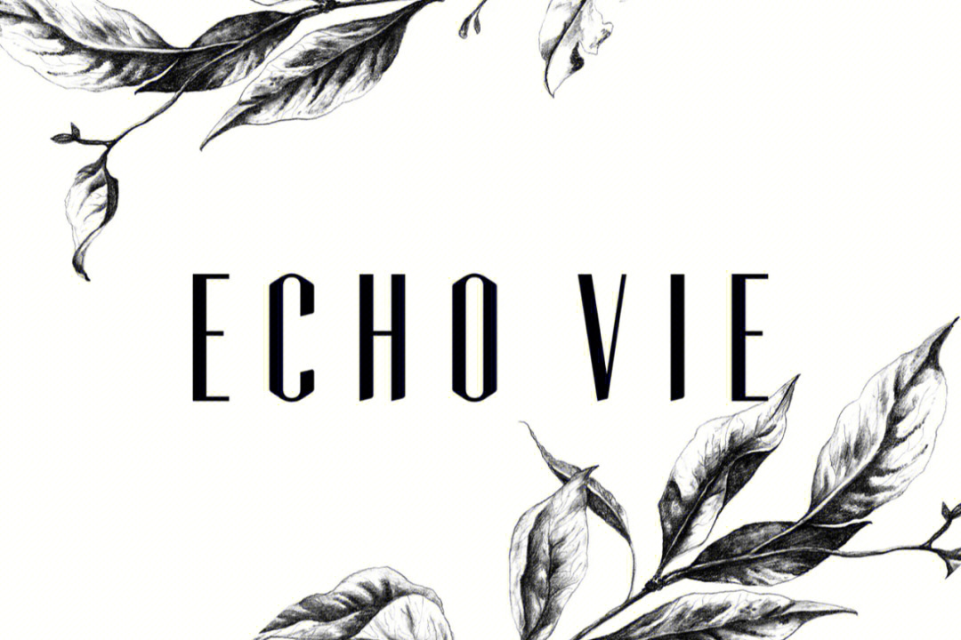 护肤品牌echovie