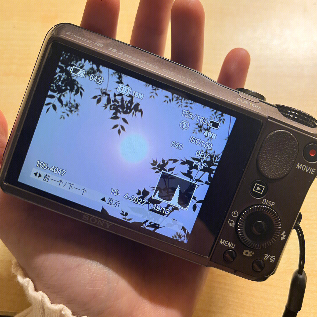 索尼hx30v十年前的老相机还拍得动照片吗