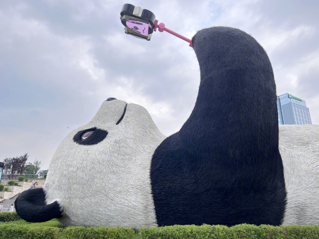 都江堰自拍熊猫造价图片