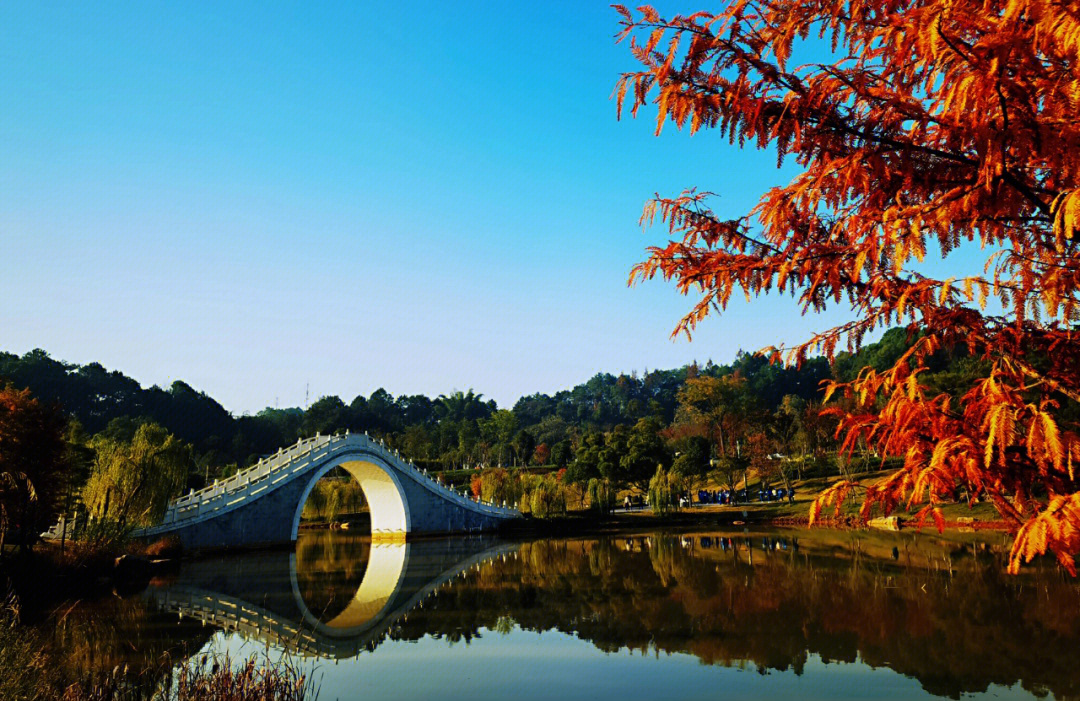 韶关韶州公园景点介绍图片
