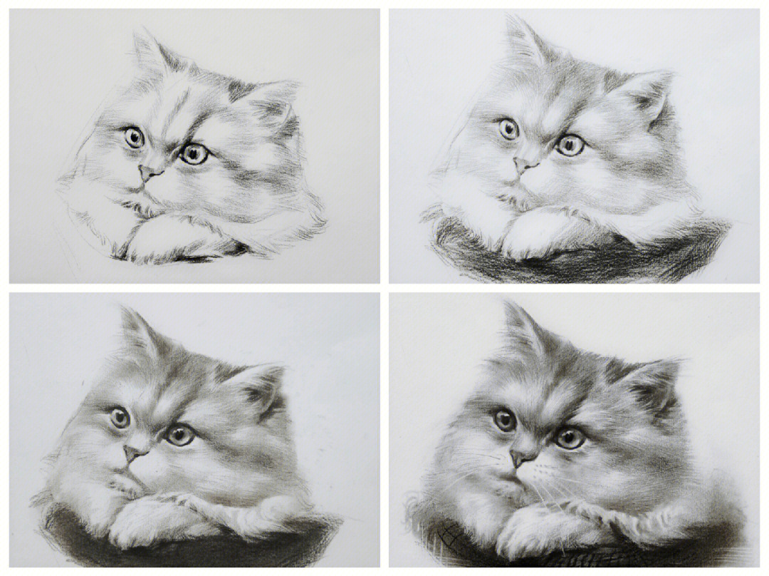 猫咪素描图片大全大图图片