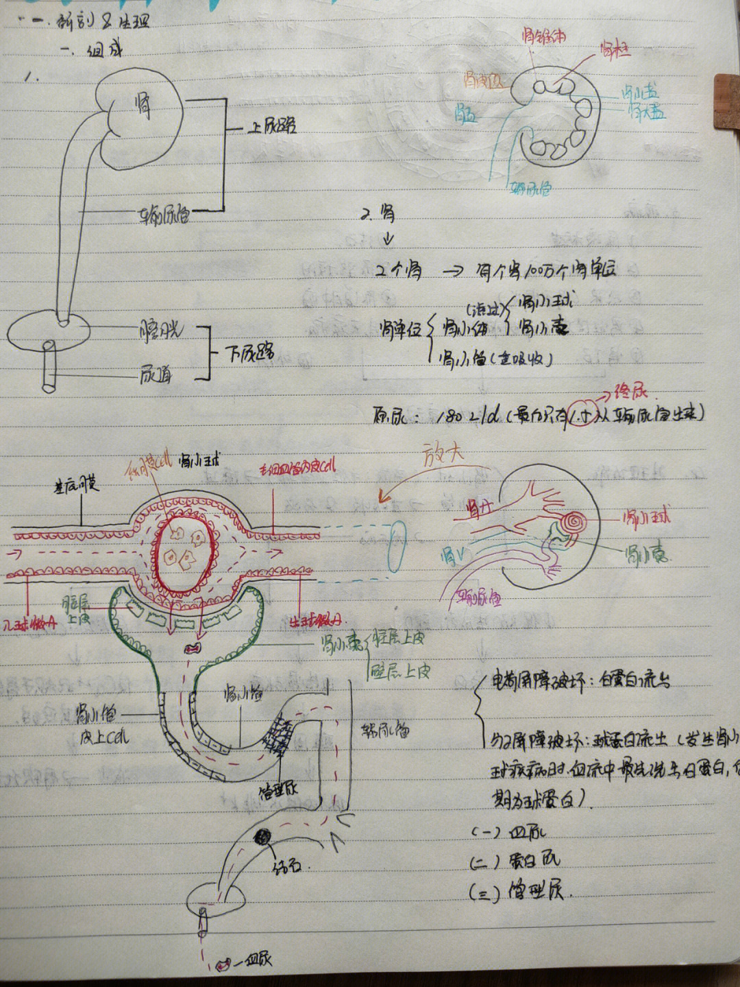 决定边学习边打卡算是一种监督学习吧学习内容途径:昭昭医考视频2022