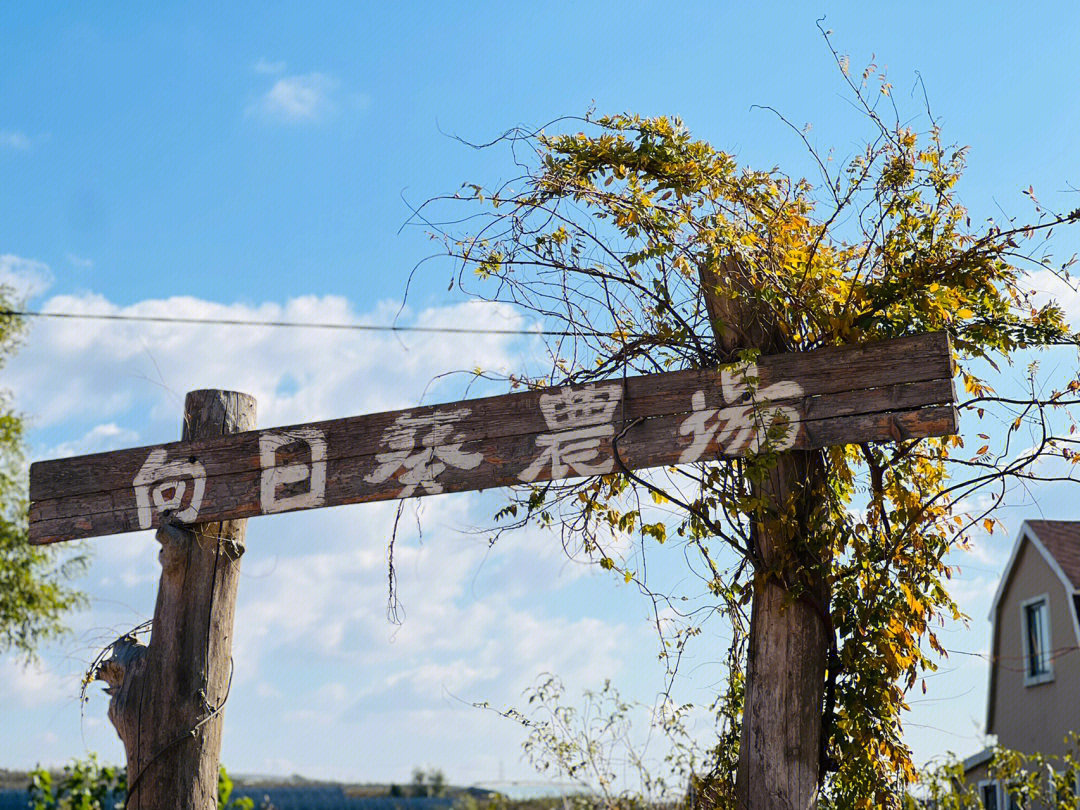 大连金州七顶山地图图片