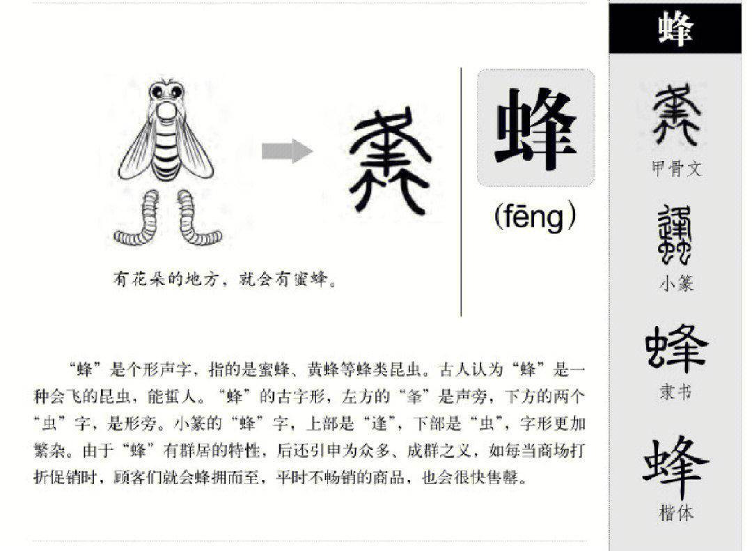 有趣的形声字甲骨文图片