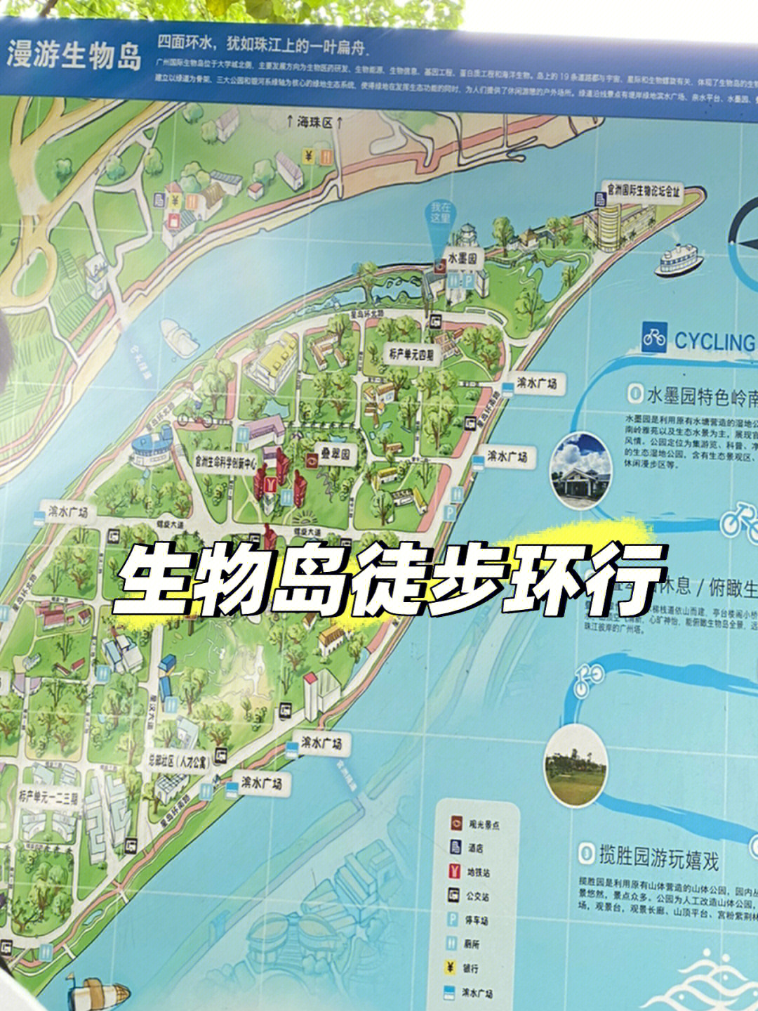 广州生物岛地图区地图图片